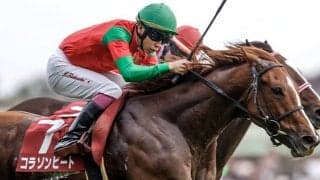 【フィリーズレビュー想定騎手】コラソンビートは横山武史騎手、シカゴスティングは鮫島克駿騎手