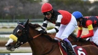 セールではわずか「350万円」 セリの評価を覆して、いざ桜の舞台へ