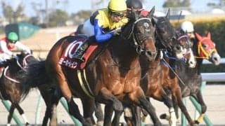 金鯱賞で大記録樹立なるか 21世代の素質馬が中783日の休み明け重賞Vに挑む