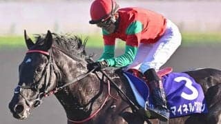 【阪神SJ想定騎手】マイネルグロンは石神深一騎手、ニシノデイジーは五十嵐雄祐騎手