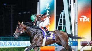 今年から始まる「ダート三冠」 開催場となる大井で狙える種牡馬とは？