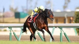 WIN5“5億5000万円”が飛び出したホワイトデー 歴代最高払い戻しを生んだ最低人気の逃げ切り