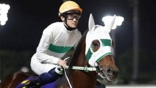 【船橋・京成盃グランドマイラーズ枠順】2年8カ月ぶりの重賞V目指すアランバローズは7枠8番