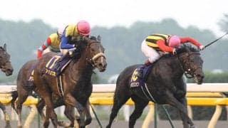 JRAGI史上初の同着V オークス馬サンテミリオンが病気のため17歳で死す