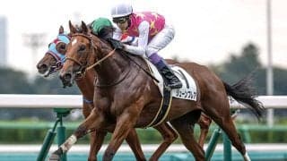 武豊騎手初の桜花賞TRダブル制覇へ 10年ぶりのフィリーズレビューVに挑む