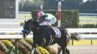 【金鯱賞予想オッズ】ドゥレッツァが予想1番人気