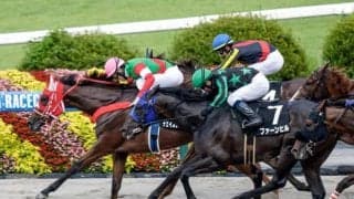 レース名につく「ステークス」と「特別」 2つの間に存在する“違い”とは