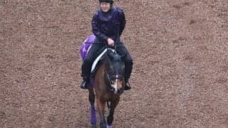 ディヴィーナなど、先週の入厩情報/栗東トレセンニュース