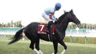 【金鯱賞展望】好走条件揃ったヤマニンサルバムの重賞連勝を期待