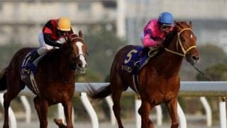 “川島信二騎手＆オースミハルカの仔”が単勝1.2倍の大本命撃破 復活V挙げた11年前のダイオライト記念