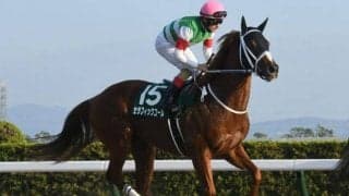 【ダイオライト記念注目馬】4歳馬セラフィックコール ベテラン勢を破って巻き返しなるか