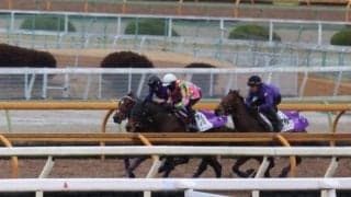 ドウデュース、ドバイターフ追い切り速報/栗東トレセンニュース