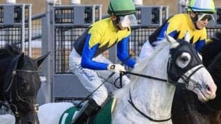 8歳でも元気いっぱい 白毛のベテランが金鯱賞で重賞3勝目へ