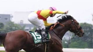 ジャスティンカフェの競走馬登録抹消