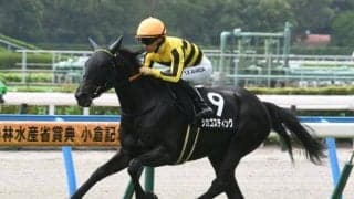 【フィリーズレビュー予想】AI推奨馬はGIで健闘の実績 臨戦過程と馬格がジャッジのポイントに
