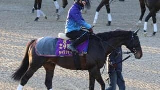 シャフリヤール、ドバイSC追い切り速報/栗東トレセンニュース