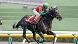 【阪神SJ出走馬・騎手確定】マイネルグロン＆石神深一騎手、ロックユー＆西谷誠騎手など10頭