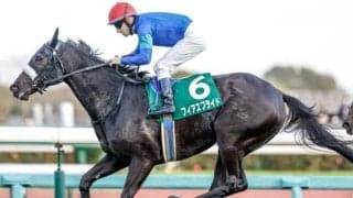 【中山牝馬S出走馬・騎手確定】フィアスプライド＆C.ルメール騎手、ククナ＆戸崎圭太騎手など16頭