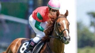 【フィリーズレビュー出走馬・騎手確定】コラソンビート＆横山武史騎手、シカゴスティング＆鮫島克駿騎手など15頭