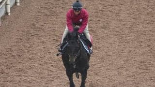 半姉はリバティアイランド 3億円の良血馬が川田騎手とデビューV狙う