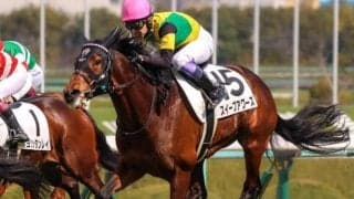 ディープインパクトとスイープトウショウ最後の仔 武豊騎手と連勝なるか