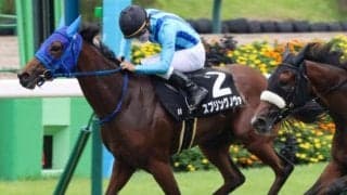 400kgに満たない“小さな根性娘” アネモネSで桜切符獲得なるか