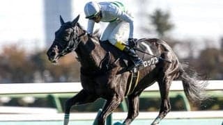 中内田厩舎から障害界の新星誕生か ディープインパクト産駒が阪神SJで重賞初制覇狙う