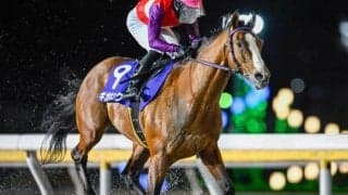 【船橋・京成盃グランドマイラーズ結果】ギガキングが好位から抜け出し重賞7勝目を挙げる