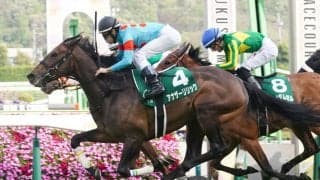 アナザーリリックの競走馬登録抹消…繁殖入り