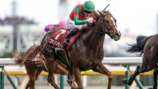 【フィリーズレビュー枠順確定】コラソンビートは1枠1番、シカゴスティングは4枠6番