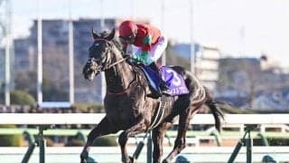 【阪神SJ枠順確定】マイネルグロンは4枠4番、ロックユーは7枠8番