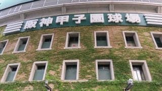 【センバツ】「死のブロック」に大阪桐蔭、作新学院ら優勝経験8校中5校！ いずれも1回戦屈指の好カードに