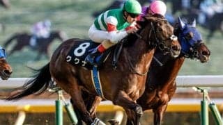 【中山牝馬S予想】該当した人気馬が軒並み凡走するデータを発見！ 前走での位置取りは要チェック