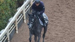 名牝クロノジェネシスの半妹デビュー 北村友一騎手と勝利なるか