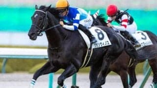 兄・姉にGI馬3頭の超良血馬 3連勝で一気にオープン入りなるか