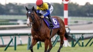 【高松宮記念想定馬・騎手】ママコチャ、メイケイエールなど23頭