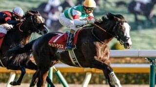 【ファルコンS想定馬・騎手】シュトラウス、ソンシなど19頭