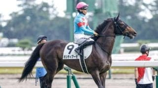 【フラワーC想定馬・騎手】カンティアーモ、ミアネーロなど12頭