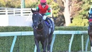 【今日の注目ポイント】中山牝馬Sと阪神SJ 福永祐一厩舎などが初陣