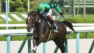 【中山牝馬S予想】過去10年で1番人気わずか1勝 波乱傾向の強いハンデ戦