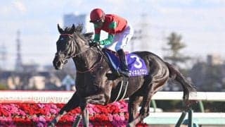 【阪神SJ予想】過去の勝ち馬にオジュウチョウサンやメイショウダッサイ 春の障害チャンプを目指す各馬が始動