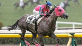 3走前にGI好走馬と接戦＆前走1勝クラスを快勝 それでも鬼門となる“前走競馬場”とは