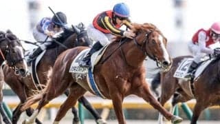 【金鯱賞予想】7年ぶりの菊花賞組に注目！ 明暗を分けるのは前走成績か