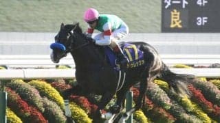 【金鯱賞前日オッズ】ドゥレッツァが1.9倍で1番人気