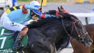 中京芝は開幕週らしく前＆内有利 ヤマニンサルバムが強豪撃破だ