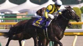 全姉に名牝ソウルスターリング 良血馬が日曜阪神4Rで初陣V狙う