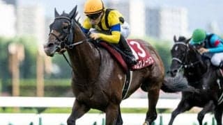 【AI予想・金鯱賞】人気馬が強さを見せる中京名物重賞！ 人工知能は豪脚自慢の実力馬に◎