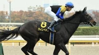 母は三冠牝馬アパパネ 昨年覇者が今年も東風Sに登場