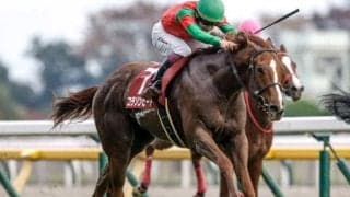 【フィリーズレビュー予想】桜花賞への切符をかけた一戦 内回り1400mのトリッキーなコースが勝負のカギ