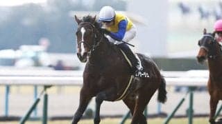 金鯱賞は１番人気の信頼度が絶大も波乱含み 穴党記者推奨の伏兵２頭が今年も高配当を運んでくるか